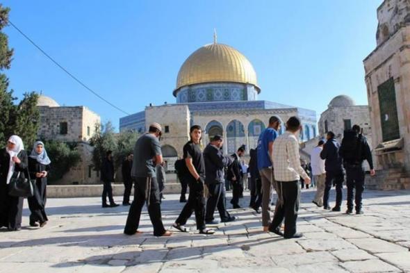 عشرات المستوطنين يقتحمون المسجد الأقصى تحت حماية جنود الاحتلال