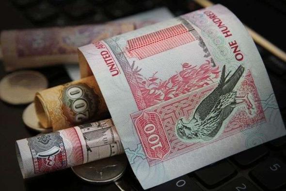 مصرف الإمارات المركزي يعلن عن مزاد للسندات الحكومية في 8 يناير
