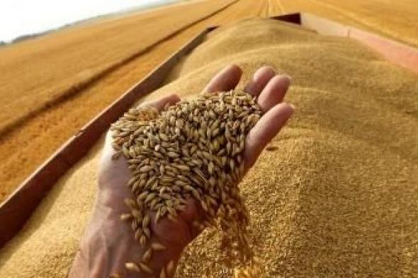 روسيا تسجل رقماً قياسياً في تصدير الحبوب