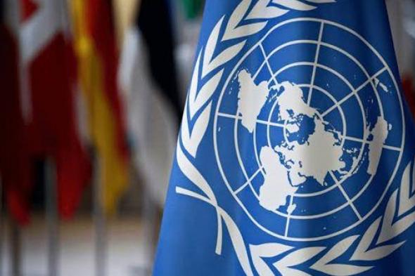 باكستان تحث الأمم المتحدة على وقف العدوان الإسرائيلي والتوجه نحو حل الدولتين