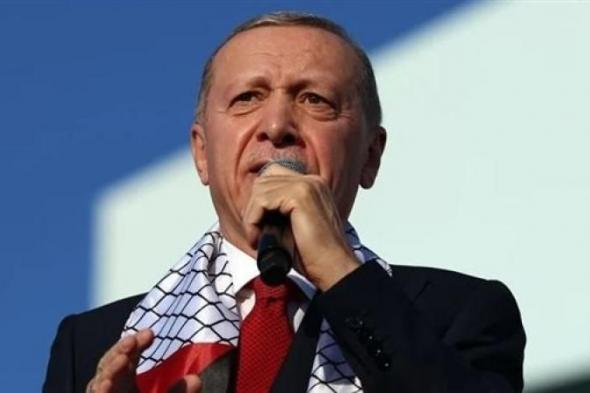 أردوغان: تركيا تبذل ما بوسعها لمعاقبة إسرائيل على أفعالها في قطاع غزة