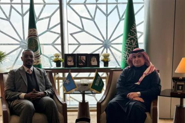مندوب المملكة لدى الجامعة العربية يستقبل نظيره الصومالي