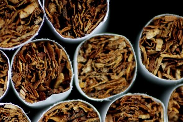 رئيس شعبة الدخان والسجائر: جهاز حماية المستهلك وضع خطة لوقف احتكار السجائر
