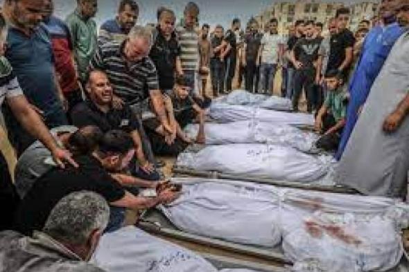 ارتفاع عدد شهداء العدوان الإسرائيلى على غزة لـ26751 شهيدا بينهم 11 ألف...