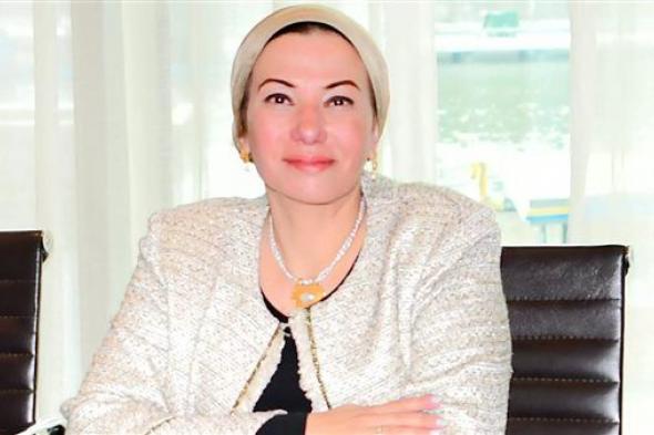 ياسمين فؤاد: الموافقة على تقديم الدعم المالي من ل ١٠ مشروعات