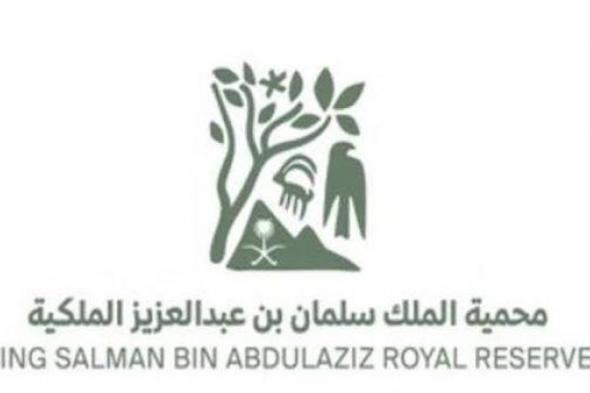 محمية الملك سلمان بن عبدالعزيز الملكية تضبط 9 مركبات و25 شخصًا مخالفًا في محمية حرة الحرة