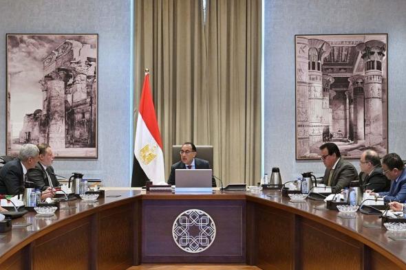 الحكومة: 5 شركات عالمية في مجال المعامل ستوطن صناعاتها بمصر…