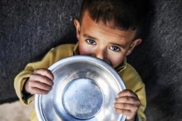 أخبار اليمن : الأغذية العالمي: سكان غزة يعيشون كارثة إنسانية