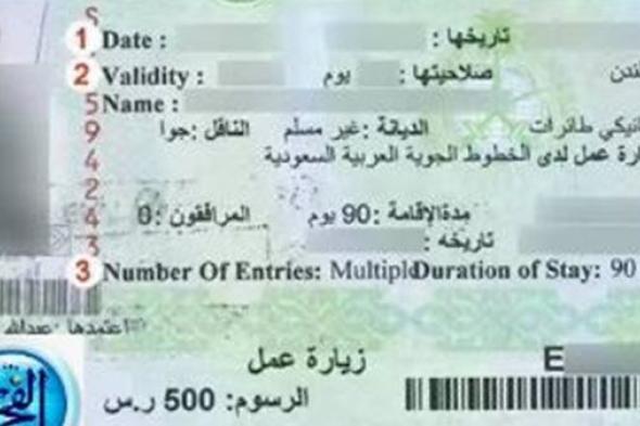 الحصول على تأشيرة العمل في السعودية 2024.. الخطوات وطريقة التقديم