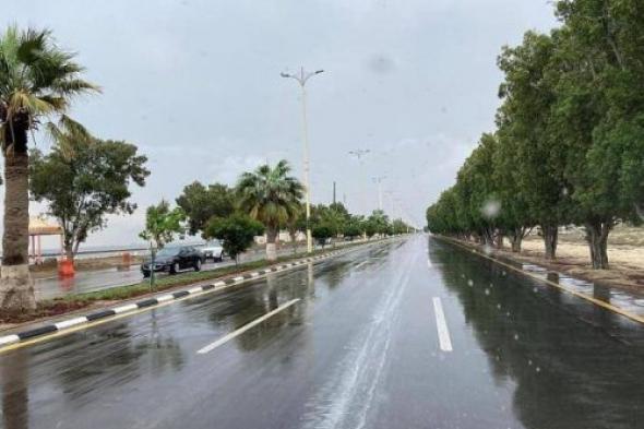 "الأرصاد" ينبّه من استمرار الأمطار الغزيرة على منطقة الباحة