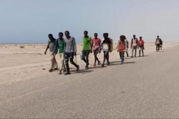 أخبار اليمن : وصول 1737 مهاجر أفريقي إلى اليمن خلال شهر