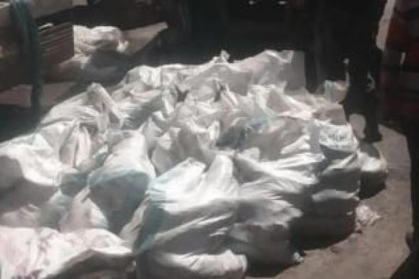 أخبار اليمن : إتلاف 600 كيلو من الأسماك في صنعاء