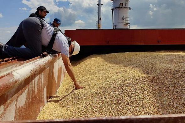 روسيا تكمل مبادرتها بإرسال الحبوب مجانا إلى 6 دول إفريقية