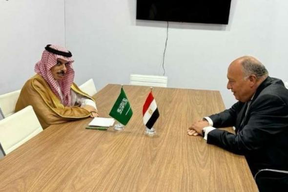 وزير الخارجية سامح شكري يلتقي وزير خارجية المملكة العربية السعودية