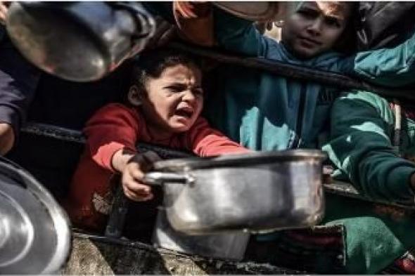 أخبار اليمن : غزة.. أكثر من مليون شخص يعانون سوء التغذية