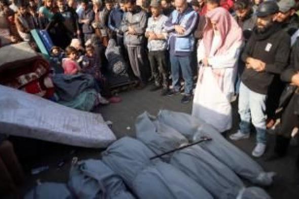 أخبار اليمن : 29782 شهيد منذ بدء العدوان على غزة
