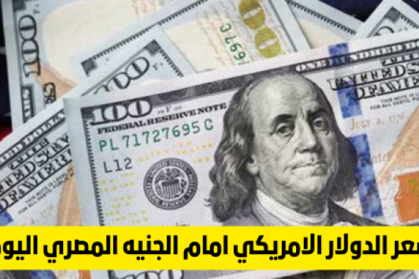 سعر الدولار أمام الجنيه المصري في السوق السوداء اليوم الاربعاء 28 فبراير