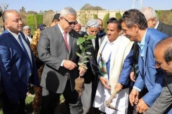 أخبار اليمن : بن حبتور يدشن موسم التشجير للعام الجاري