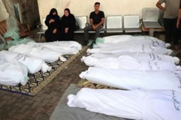 أخبار اليمن : ارتفاع حصيلة الشهداء في غزة إلى 30631