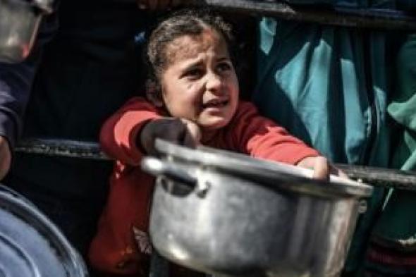 أخبار اليمن : ارتفاع عدد شهداء الجوع في غزة إلى 20