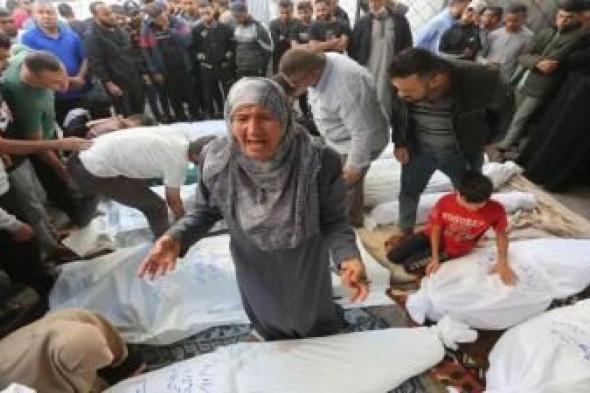 أخبار اليمن : ارتفاع عدد الشهداء في غزة إلى 31553