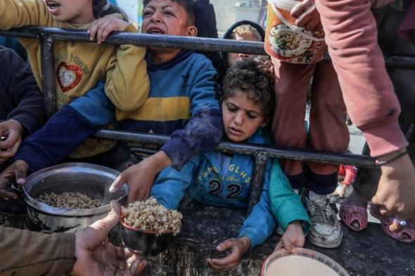 اليونيسيف: عدد الأطفال الذين لقوا حتفهم في غزة «مفجع»