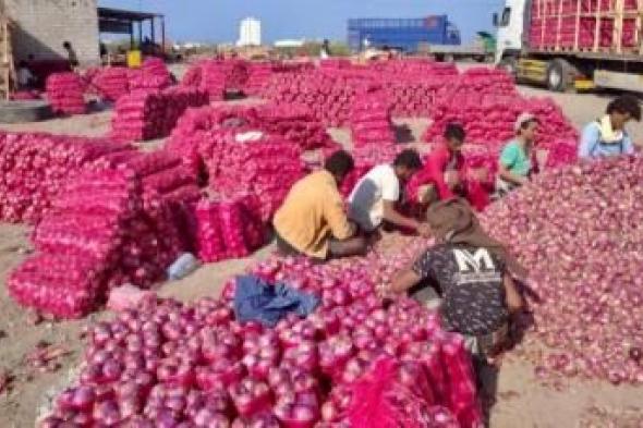 أخبار اليمن : "الاتحاد التعاوني" يدين منع تصدير المنتجات الزراعية