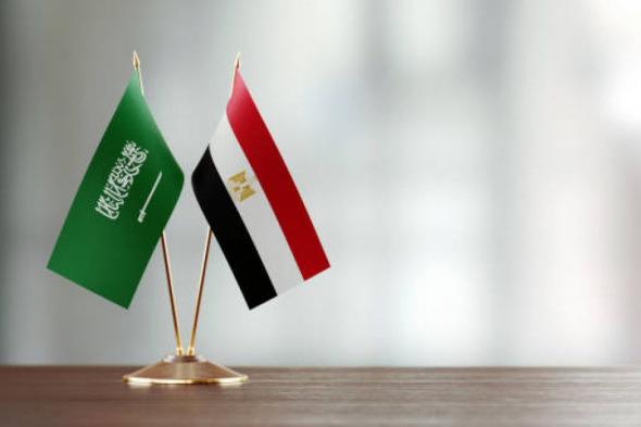 حوار مالي رفيع المستوى بين وزارتي المالية المصرية والسعودية
