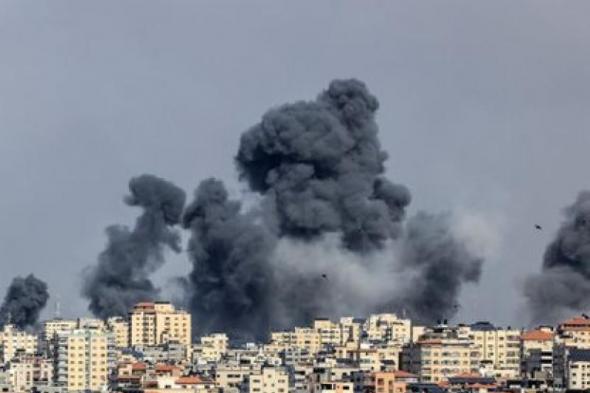 الجزائر وكوبا تؤكدان ضرورة دعم الجهود الرامية لوقف العدوان الإسرائيلى على غزة
