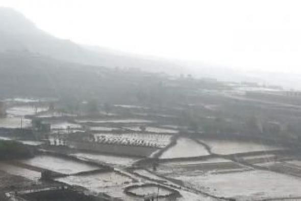 أخبار اليمن : رياح قوية وأمطار غزيرة على هذه المناطق