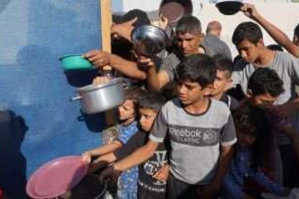 أخبار اليمن : اليونيسف: 600 ألف طفل في رفح يعانون من الجوع والخوف