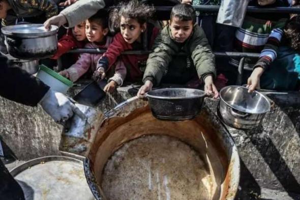 منسق أممي: الوضع في غزة كارثي.. ونصف السكان معرضون لـ”مجاعة وشيكة”
