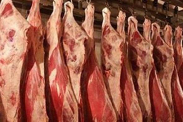 نقيب الجزارين: نتوقع انخفاض سعر اللحوم الفترة المقبلة