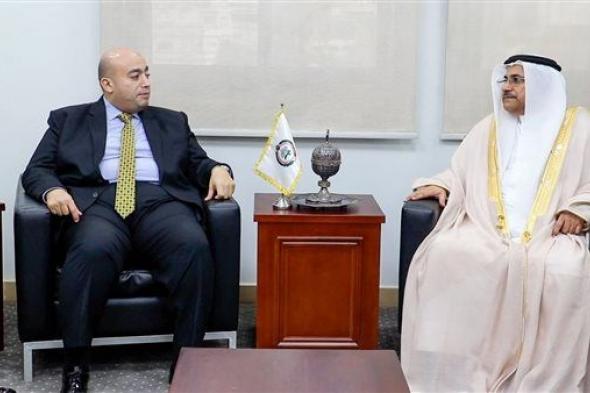 رئيس البرلمان العربي يلتقي وفد جمعية حماية في القاهرة