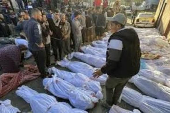 أخبار اليمن : ارتفاع حصيلة شهداء غزة إلى 34049