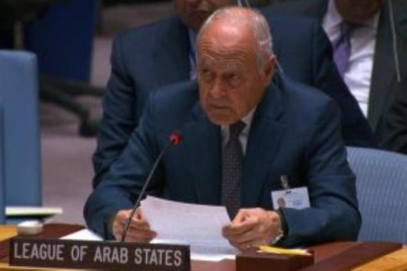 مجلس الجامعة العربية يدين استمرار الإبادة الجماعية الإسرائيلية ضد الفلسطينيين ويحذر من اجتياح رفح