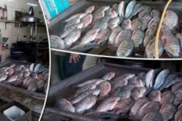 مبادرة مقاطعة الأسماك بدمياط تُجبر أصحاب المحلات بتخفيض الأسعار