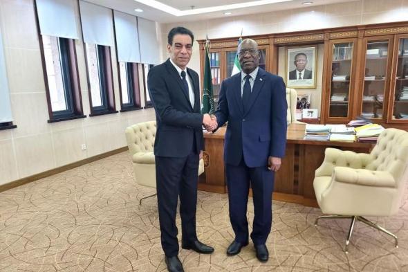 السفير المصري في مالابو يلتقي مع وزير خارجية جمهورية غينيا الاستوائية