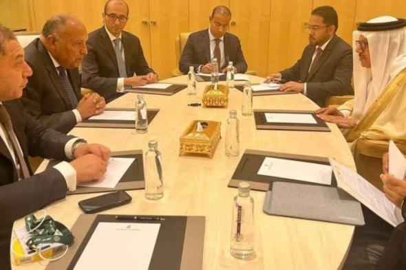 وزير الخارجية سامح شكري يلتقي وزير خارجية البحرين على هامش المنتدى الاقتصادي العالمي في الرياض