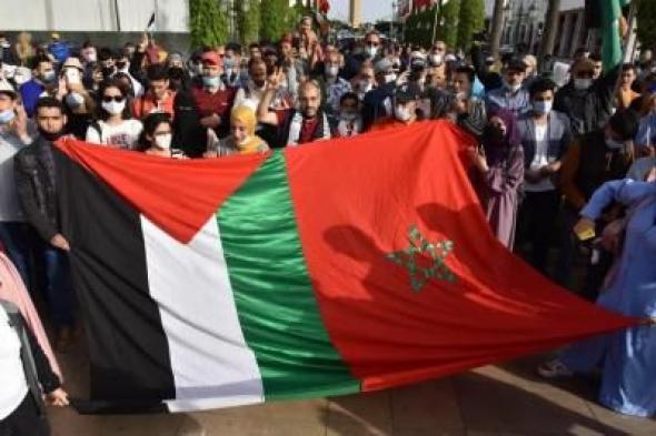 106 مظاهرات بالمغرب دعماً لغزة