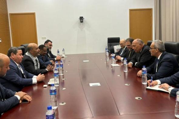 وزير الخارجية يلتقي نائب رئيس المجلس الرئاسي الليبي