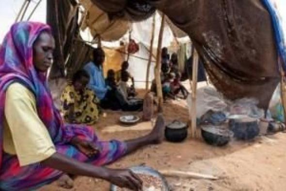 تحذير أممي: دارفور معرضة للمجاعة والموت