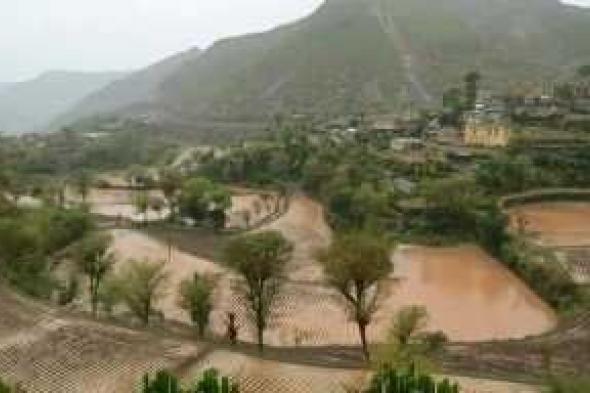 أخبار اليمن : أمطار غزيرة وأجواء حارة.. وتحذير من السيول
