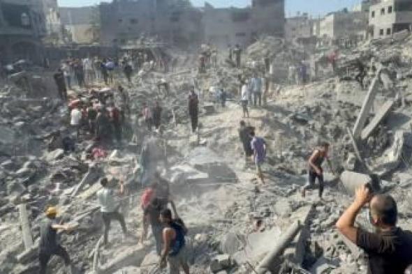 أخبار اليمن : مقررة أممية: ما يحدث في غزة "مأساة وإبادة جماعية"