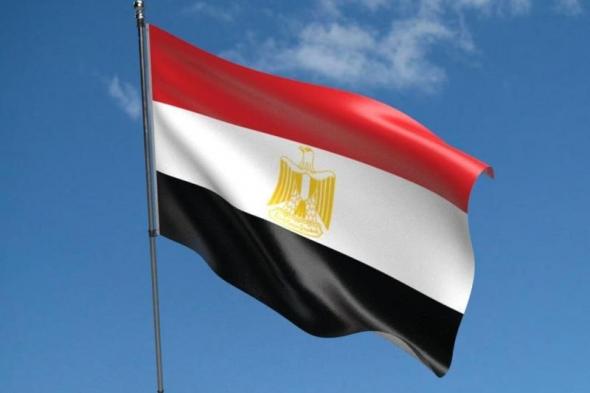 مصدر رفيع المستوى: مصر لن تتراجع عن الانضمام لدعوى ”الإبادة الجماعية” ضد...