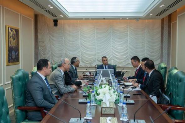 وزير الإنتاج الحربي يستقبل ممثل شركة "FAMSUN" الصينية لبحث سبل التعاون المشترك