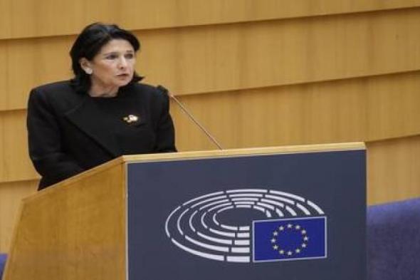 رئيسة جورجيا تستخدم حق النقض ضد قانون ”التأثير الأجنبي”