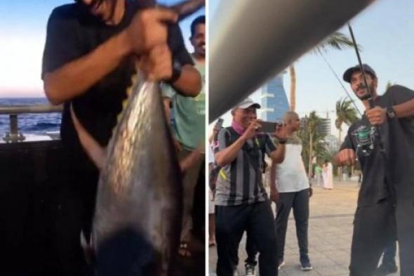 اتفرج ...سعودي يصطاد سمكة تونة عملاقة ...وما وجده داخلها حوله مباشرة إلى مليونير !
