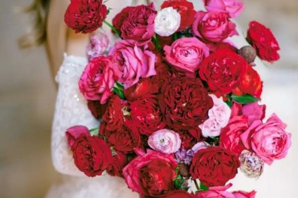 ما هو الورد الأحمر المفضل لكِ بين هذه الزهور؟