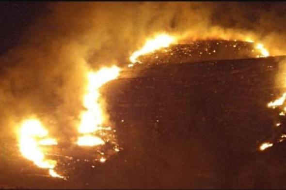 مستوطنون يشعلون النار في أراضي زراعية شرق رام الله